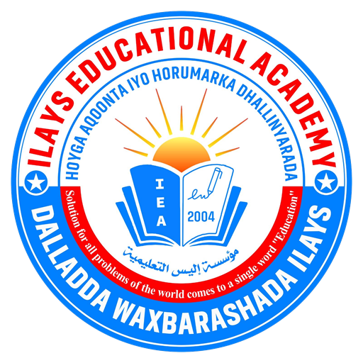 Ilays Academy