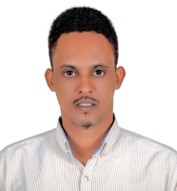 suleiman arab ahmed hirsi
