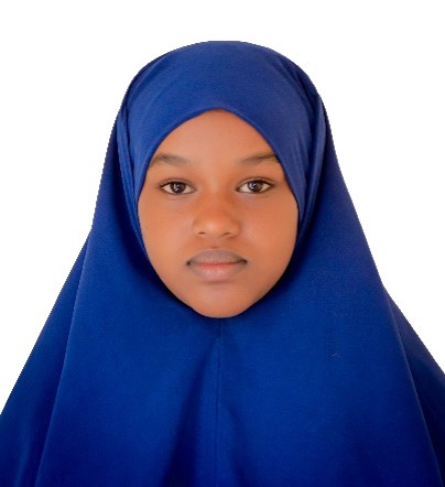 hamdi mursal hirsi warsame