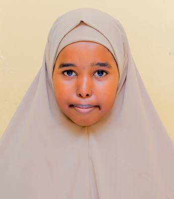 hamdi hussein abdi ismail